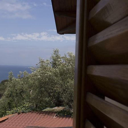 Villa Regina Giovanna Sorrento Exterior foto